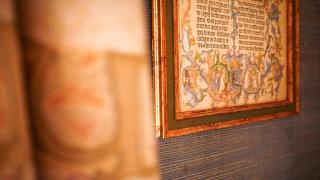 Gîtes d'Apothecarius entre Namur et Dinant - Fosses-La-Ville - 1