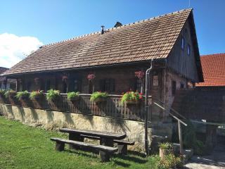 Tourist Farm Pri Martinovih - 6