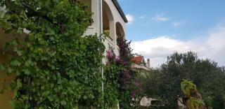Apartmani Vranjkovic - 9