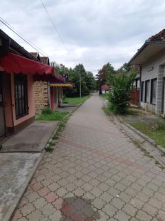 Centar - Vrdnik - 9