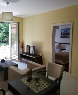 Villa Otava Lux SPA - 8
