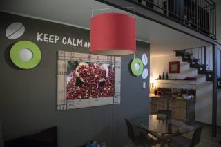 Loft Bocconi, IULM, Fondazione Prada, IEO - 7