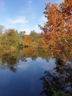 Langdale Lodge - Lincoln - 2