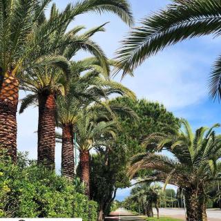 Hotel Etruria - Forte dei Marmi - 3