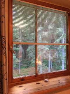 Apartamentai - Gintaro Įlanka - Juodkrantė - 8
