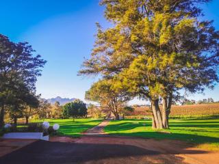401 Rozendal Cottages - Stellenbosch - 4