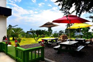 Jeju Bada Wi Olle Pension - Seogwipo - 8