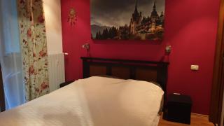 GREEN VIEW - Sinaia - 3
