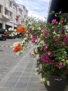 Queen Motel - Ha Long - 9