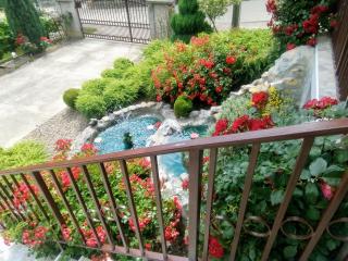 Apartment Vila MM Srce - Vrdnik - 8