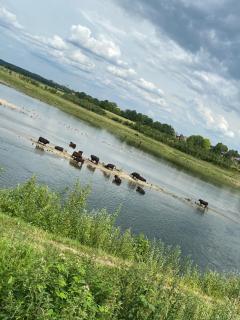 Maashuys - Lanaken - 5