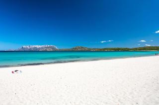 Homey Experience - Terrace Sea View Apartment - Olbia - 1
