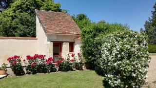 La Haute Traversiere - Francueil - 5