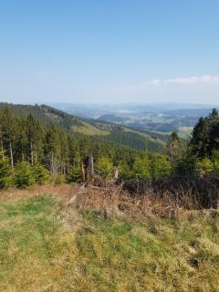 Hotel "Woiler Hof" garni - Eslohe - 9