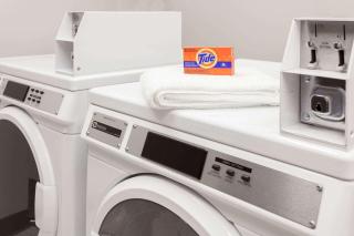 Microtel Inn & Suites by Wyndham Portage La Prairie - Portage La Prairie - 3