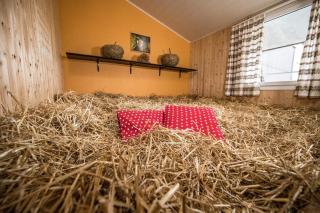 Hof-Tschannen - Lengwil - 5