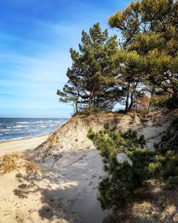 Arunes Apartments - Palanga - 2