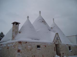 Trulli Foggia dell'Albero - 6