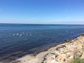 Frydenlundsvej, Rønne, Bornholm - Rønne - 3