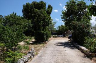I Trulli di Zizì - Selva di Fasano - 9