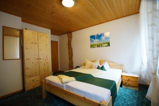 Gasthof Pension Waldfrieden - 9