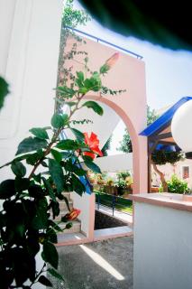 Marika Apartments - Mastihari - 5