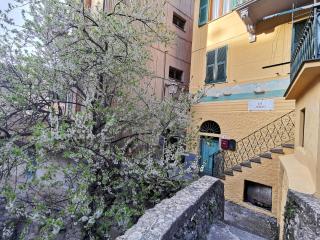 Sentieri Sul Mare - Manarola - 5