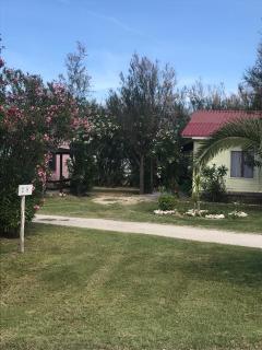 Maronda Camping - Marina di Montenero - 1