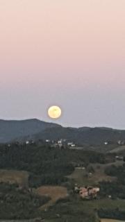 La Locanda dei Cavalieri Affittacamere - Lugagnano Val dʼArda - 2