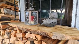 Urlaub beim Filmemacher Thomas Junker - Ruhpolding - 7