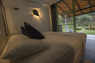 Sinharaja Forest Edge - 6