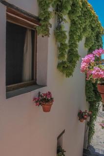 Casa Rural Catifalarga Alpujarra - 6