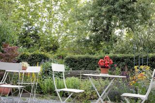 B&B Destiny - Maldegem - 7