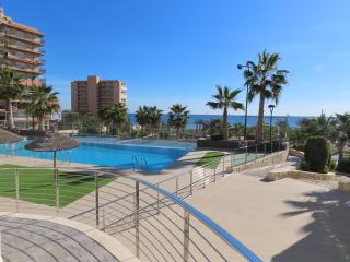 Penthouse Seacoast - Arenales del Sol - 0