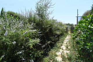 The stone - Tinos - 5