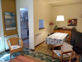 Can Bonshoms - Ribes de Freser - 9