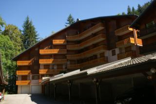 Ranfolly 10 - Morzine - 5