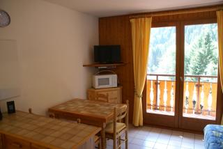 Ranfolly 10 - Morzine - 3