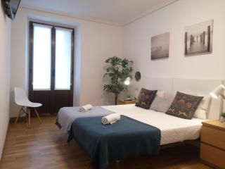 Apartamento Amplio y Central a pie de Playa la Concha - 3