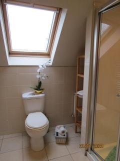 The Thatched Cottage B&B - Claregalway - 7
