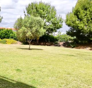 Cabanas Gardens T1 Apart Ground Floor Garden View - 4