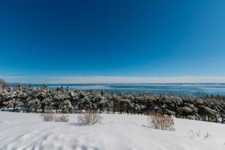 Le Manoir Hortensia - 4