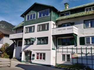 Apartment Haarlem Gosau - Gosau - 9