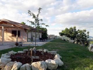 Agriturismo Il Pagliaio - Mercato Saraceno - 0