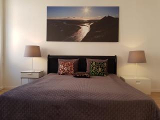 Beautiful Studio Apartment In the Heart of Copenhagen - Copenhagen - 2