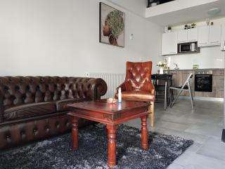 Central Luxury Apartments - Varaždin - 3
