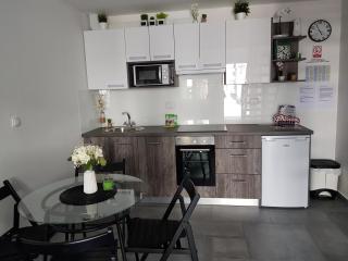 Central Luxury Apartments - Varaždin - 5