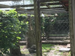 Familiehuis Boysen Appartementen - 1