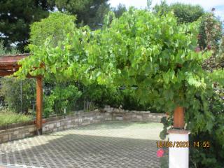 b&b Capo Le Vigne - 4