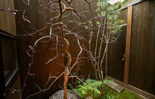 Tasokare Machiya House - 5